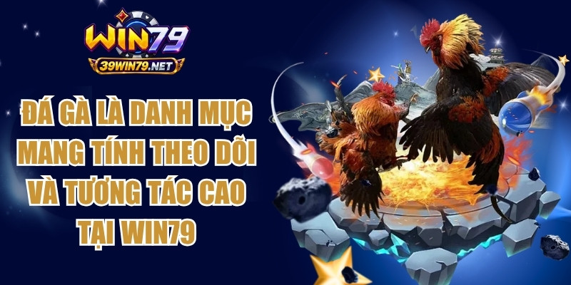 Đá gà là danh mục mang tính theo dõi và tương tác cao tại Win79