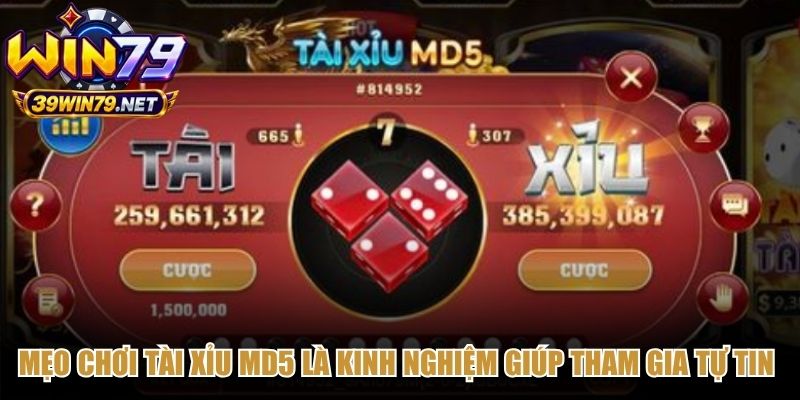 Mẹo chơi tài xỉu MD5 là những kinh nghiệm giúp tham gia tự tin đặt cược